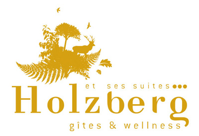 Le leholzberg gîte et wellness